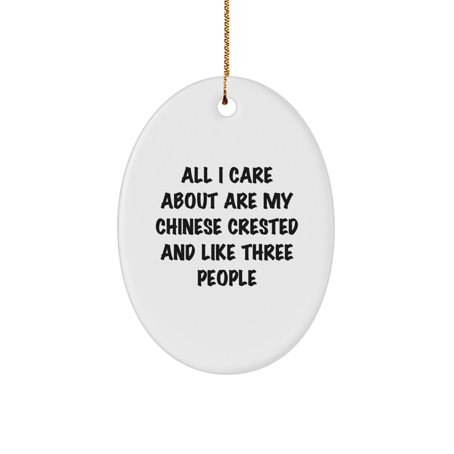 Funny Chinese Crested Dog Lover Gifts from Friends for Chinese Crested Dog Owners, Oval Ornament Christmas Unique Decorations - Image 1