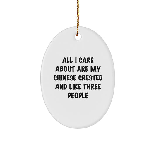 Funny Chinese Crested Dog Lover Gifts from Friends for Chinese Crested Dog Owners, Oval Ornament Christmas Unique Decorations - Image 1
