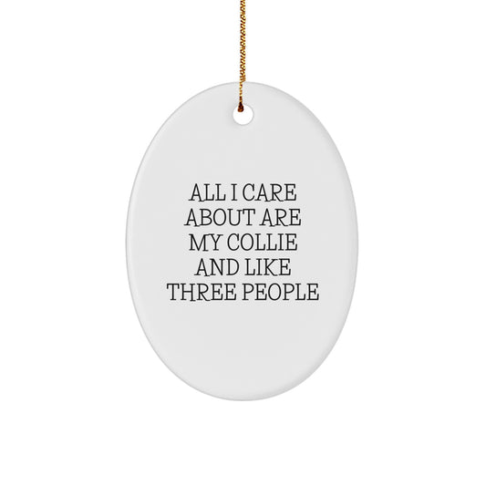 Funny Collie Dog Lover Gifts from Friends and Family - Oval Ornament for Collie Dog Owners - Cute Collie Dog Christmas Unique Gifts - Image 1