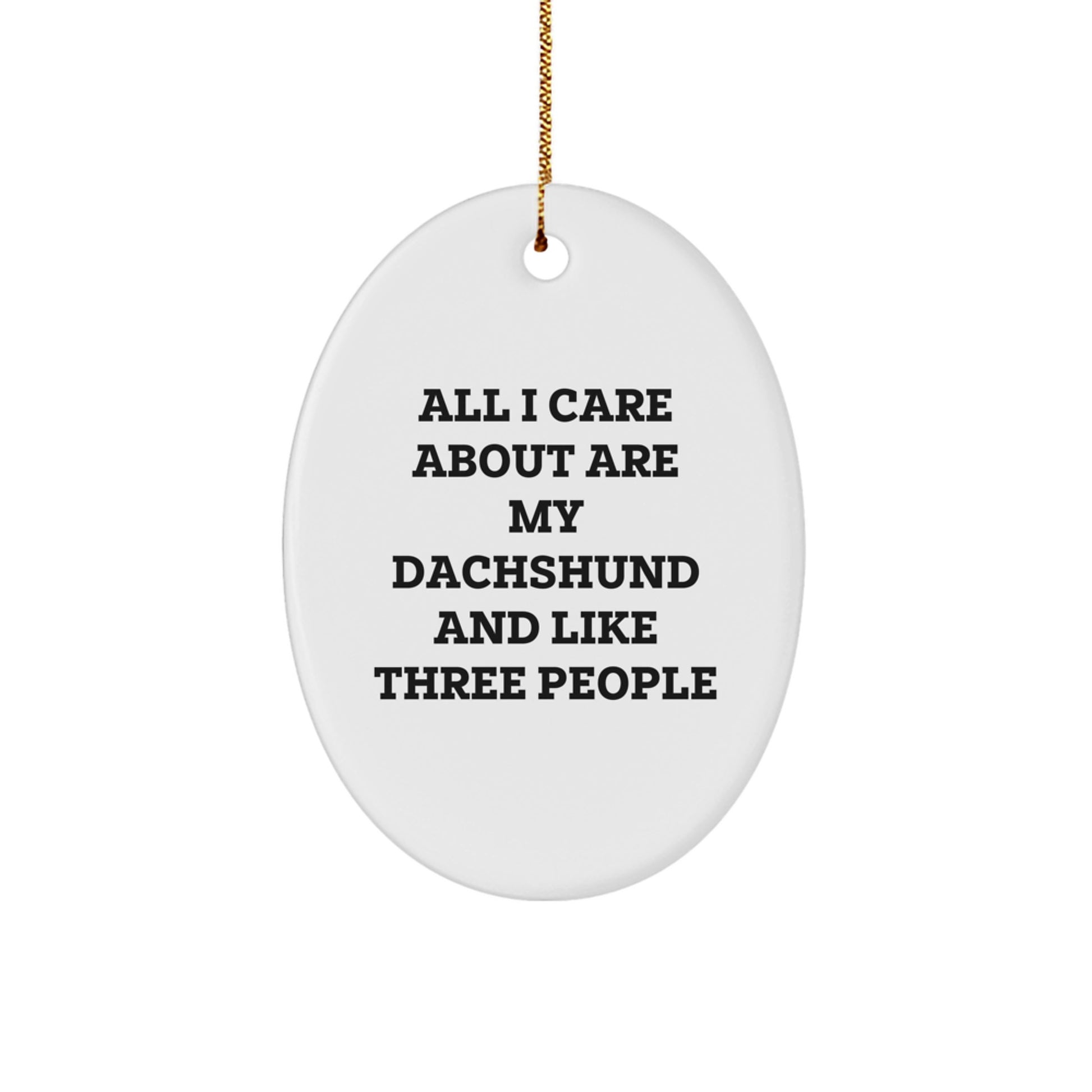 Funny Dachshund Dog Christmas Unique Gifts for Dachshund Lovers from Friends, Unique Oval Ornament, Cute Dachshund Lover Gift - Image 1