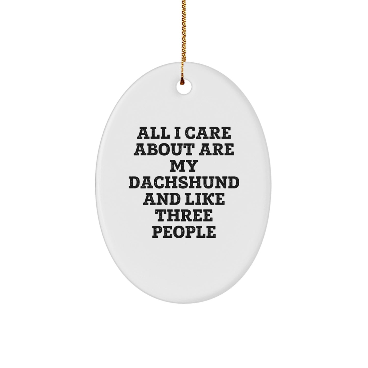 Funny Dachshund Dog Lover Gifts from Family Friends Unique Christmas Decorations Oval Ornament - Image 1