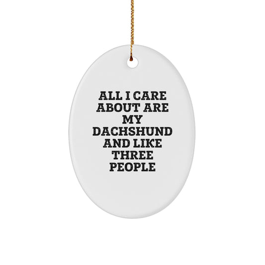 Funny Dachshund Dog Lover Gifts from Family Friends Unique Christmas Decorations Oval Ornament - Image 1