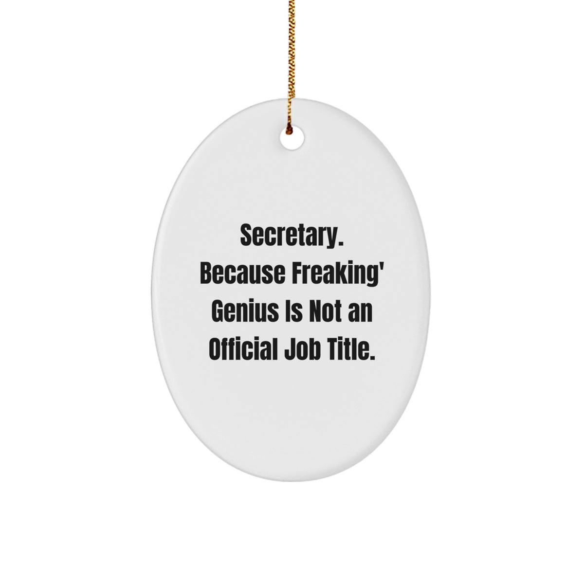 Funny Secretary Oval Ornament, Gifts from Men to Secretary, Unique Christmas Unique Gifts for Secretary - Image 1