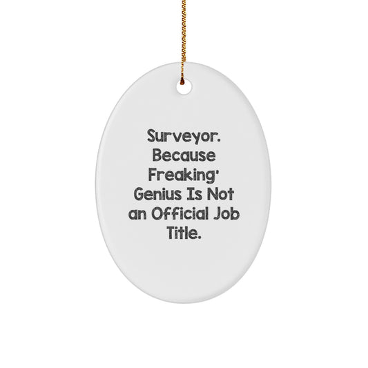 Funny Surveyor Oval Ornament Gifts from Friends to Surveyor, Christmas Unique Gifts, Oval Shaped Ornament for Surveyor - Image 1