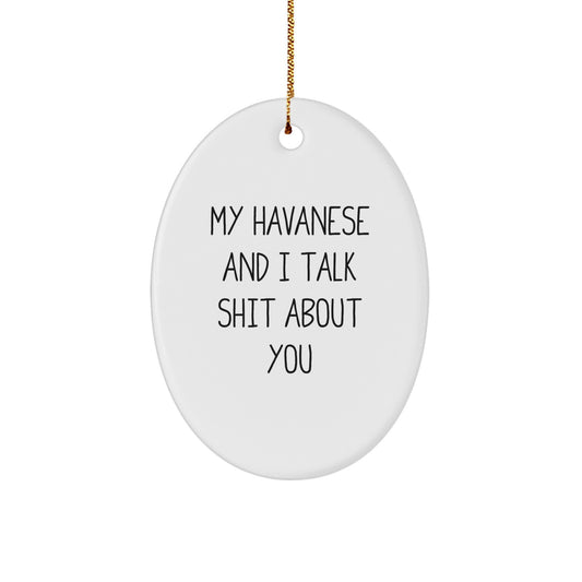 Funny Havanese Dog Christmas Oval Ornament Gifts from Friends and Family - 'My Havanese And I Talk Shit About You' Decorative Accent - Image 1