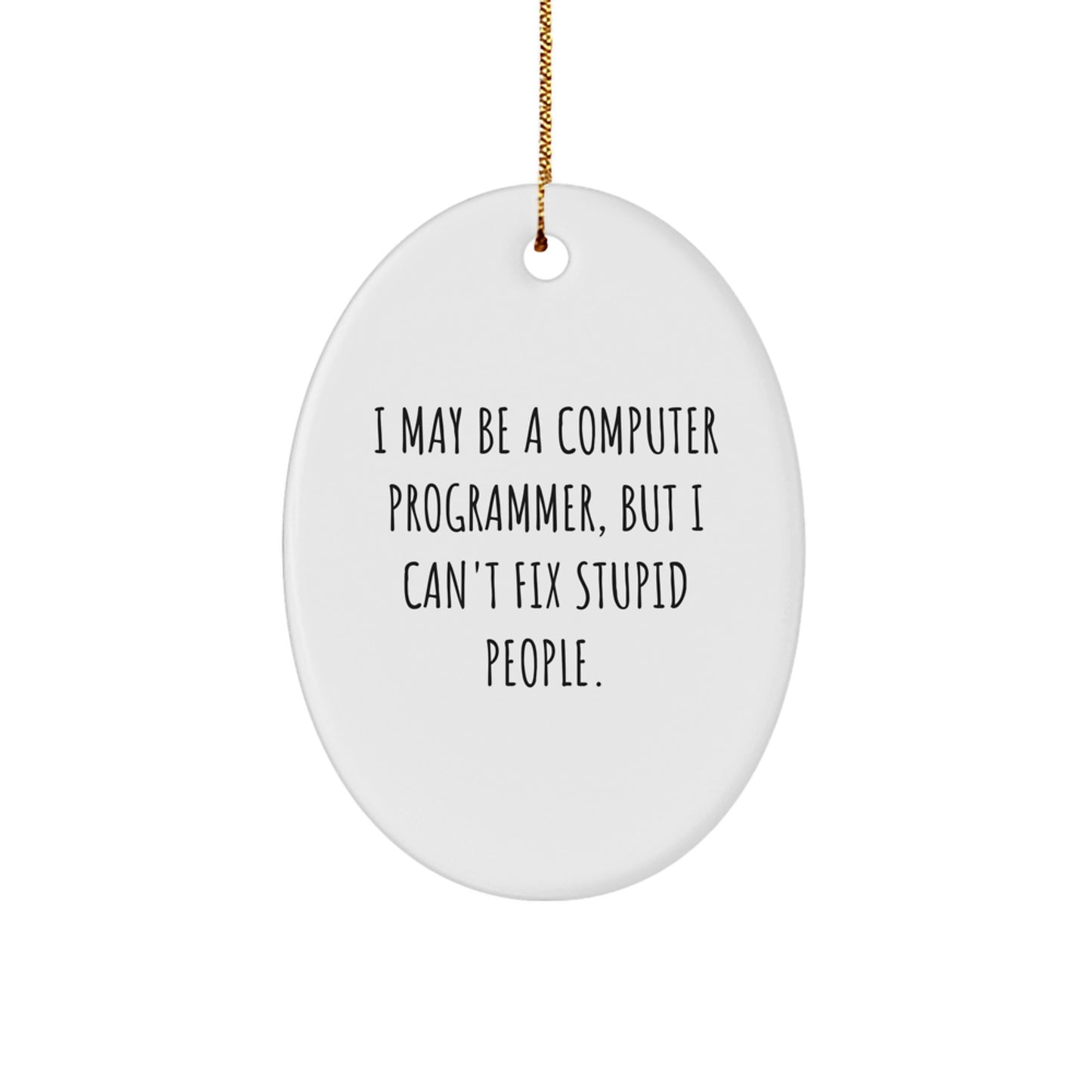Funny Computer Programmer Oval Ornament Gifts from Family for Men Friends Coworkers - Image 1
