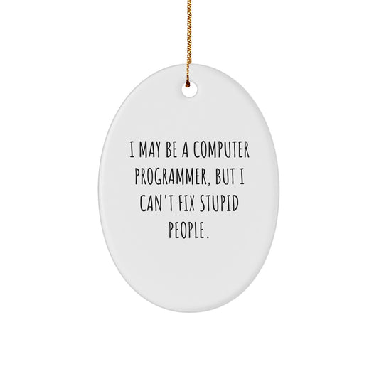 Funny Computer Programmer Oval Ornament Gifts from Family for Men Friends Coworkers - Image 1