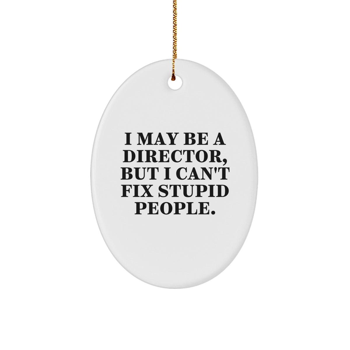 Christmas Unique Gift Director Ornament for Her I Can't Fix Stupid People - Image 1