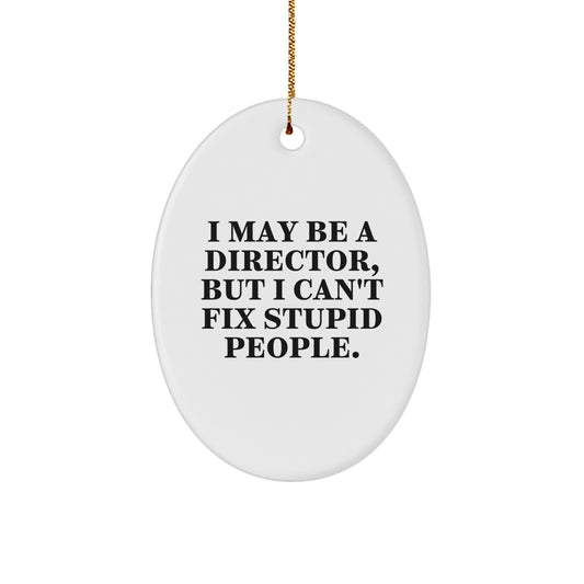 Christmas Unique Gift Director Ornament for Her I Can't Fix Stupid People - Image 1
