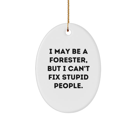Funny Forester Oval Ornament Gifts from Friends for Men, Unique Christmas Memorable Present Ideas - Image 1