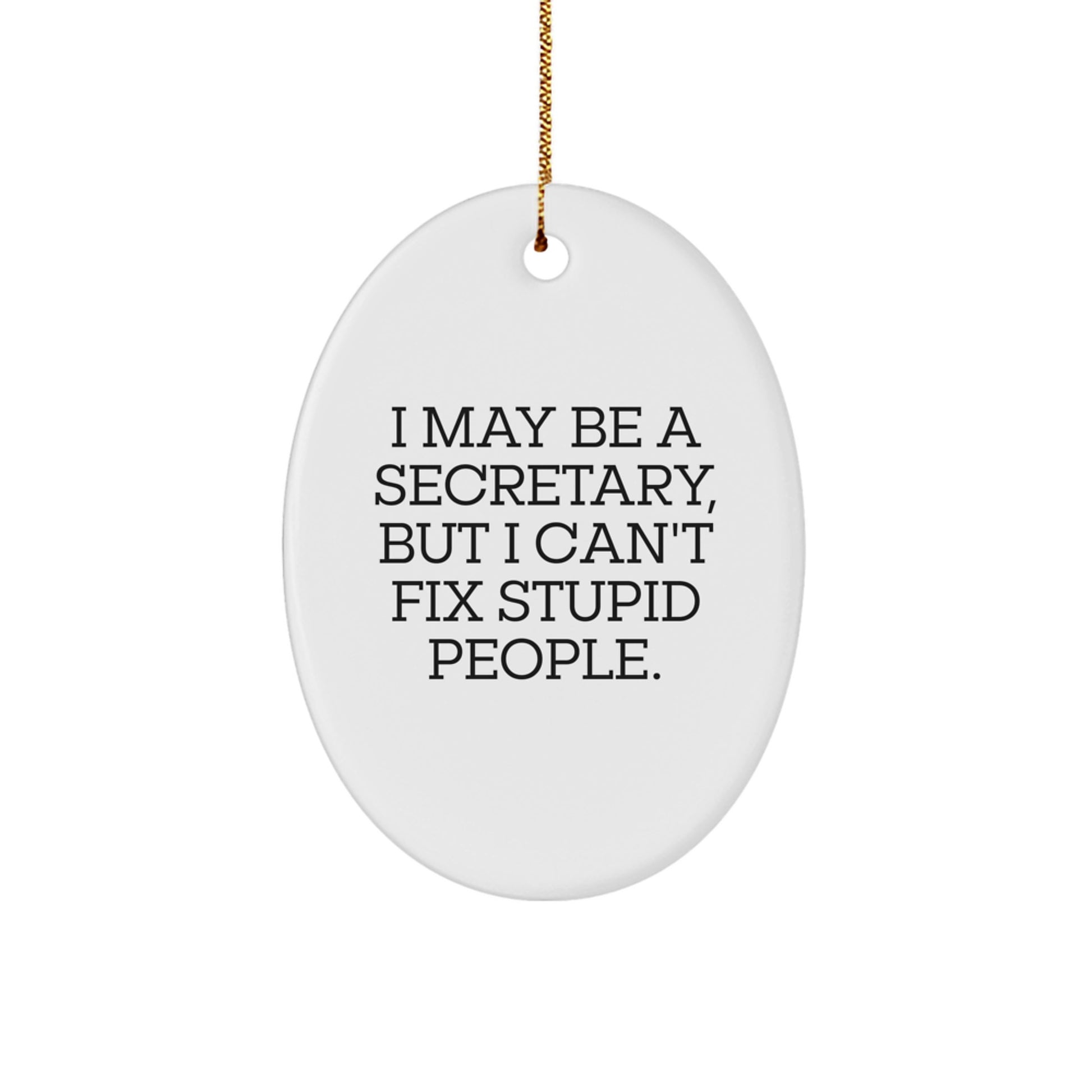 Funny Secretary Oval Ornament Gifts from Friends, Inspirational Quotes for Office Secretary, I May Be A Secretary But I Can't Fix Stupid People Christmas Decorations - Image 1