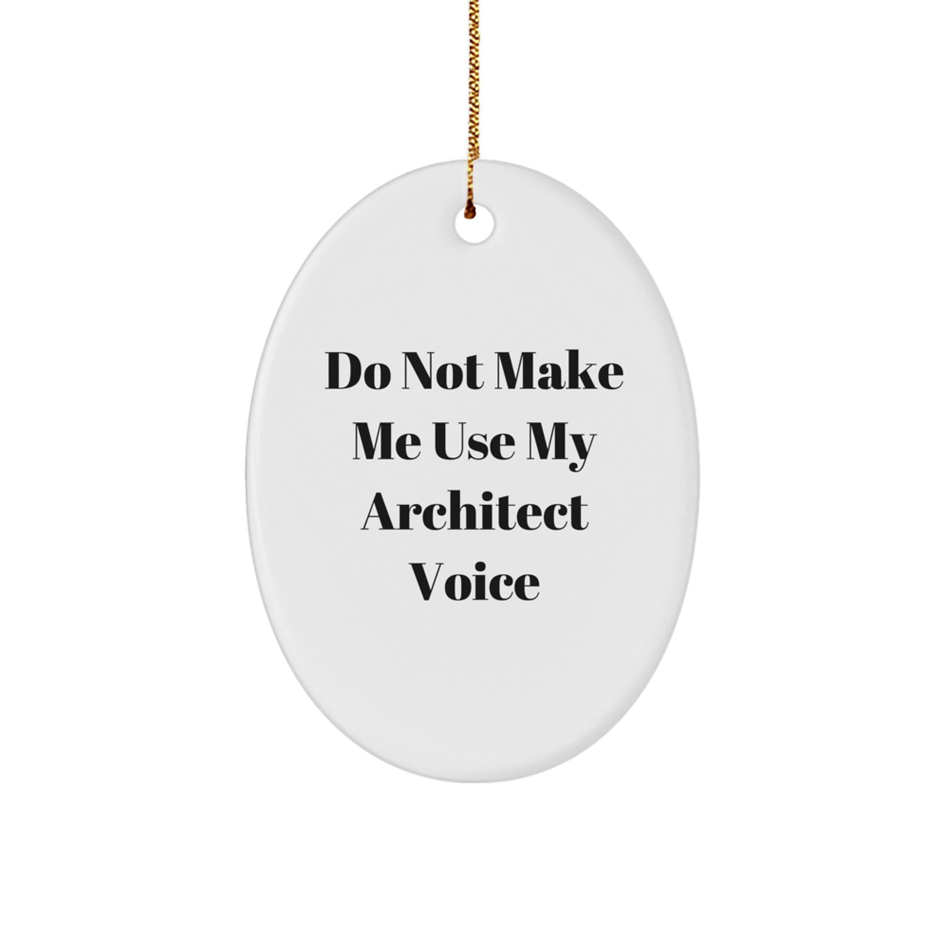 Sassy Architect Oval Ornament Christmas Gift for Friends - Image 1
