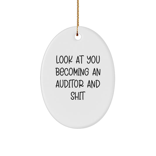 Funny Auditor Gifts from Men to Women - Oval Ornament for Christmas Unique Presents for Auditor Friends and Family - Image 1