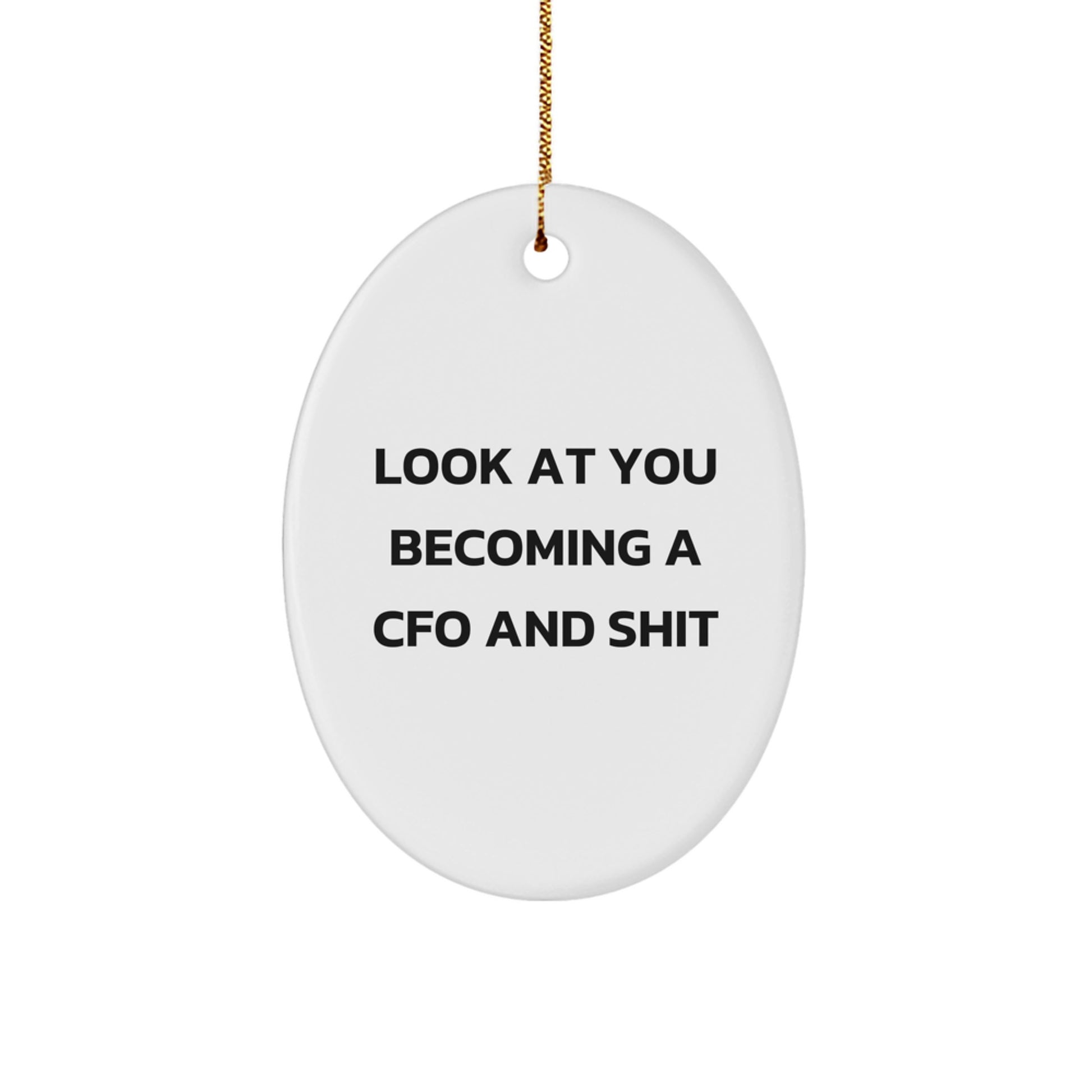 Funny CFO Gifts for Him - Oval Ornament Look At You Becoming A CFO and Shit - Christmas Unique Gifts from Friends - Image 1