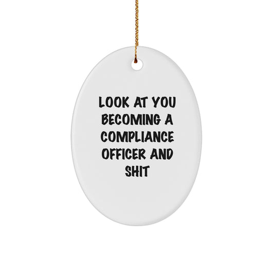 Funny Compliance Officer Gifts, Oval Ornament Quote Look At You, Gifts from Men to Coworkers for Christmas - Image 1