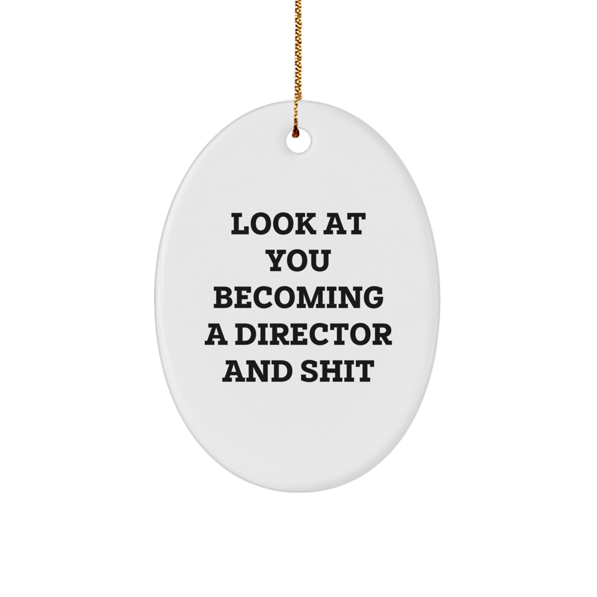 Funny Director Gifts from Friends, Unique Oval Ornament for Men or Women, Look At You Becoming A Director And Shit Christmas Decor - Image 1