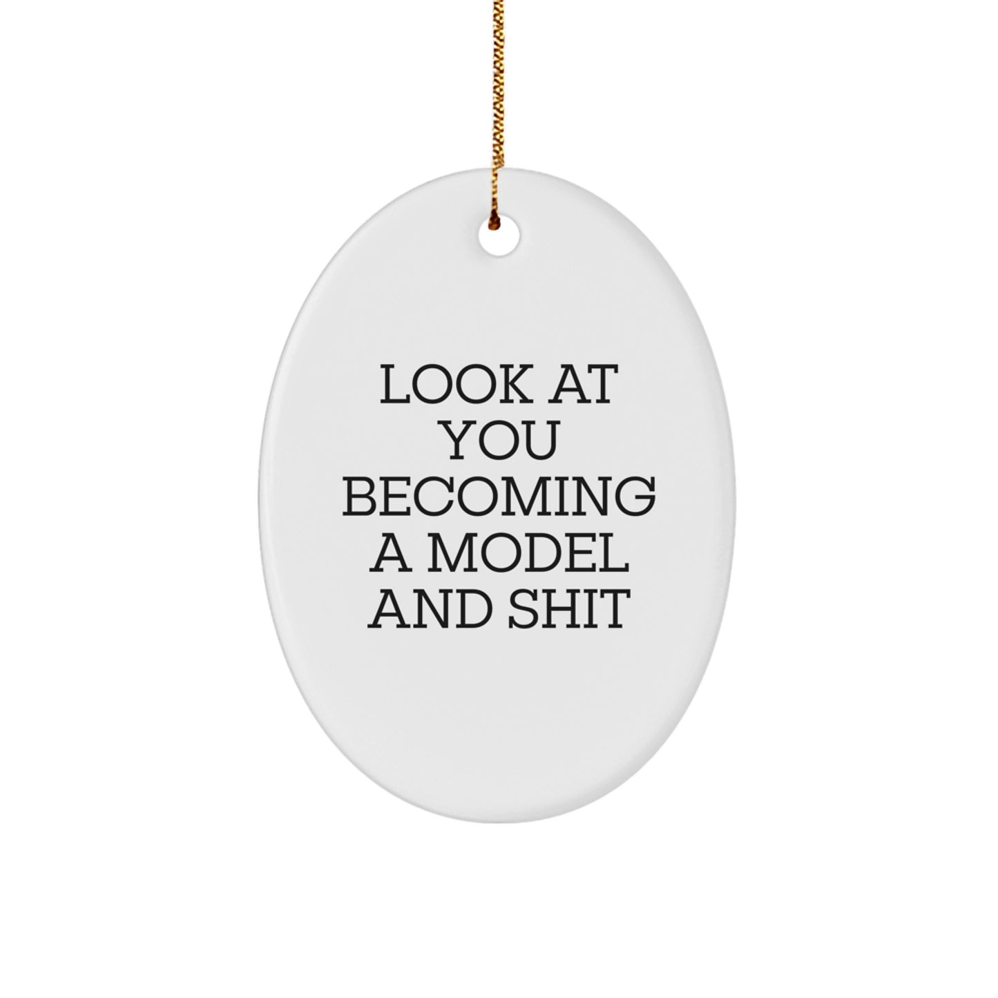 Funny Model Gifts for Friends, Oval Ornament Unique Christmas Unique Gifts from Men, for Model Enthusiasts - Image 1