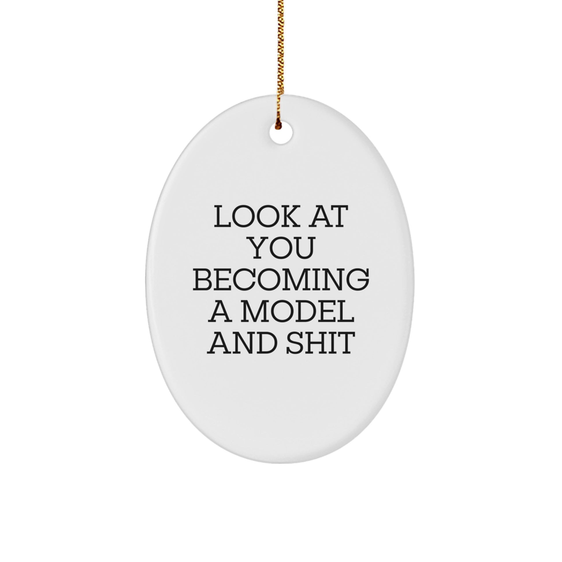 Funny Model Gifts for Friends, Oval Ornament Unique Christmas Unique Gifts from Men, for Model Enthusiasts - Image 1