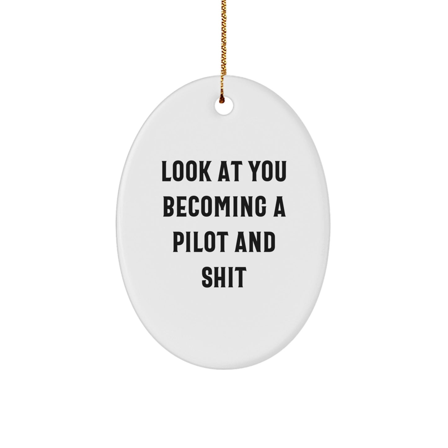 Funny Pilot Gifts, Oval Ornament for Pilot Enthusiasts, Christmas Unique Presents from Friends to Pilots - Image 1
