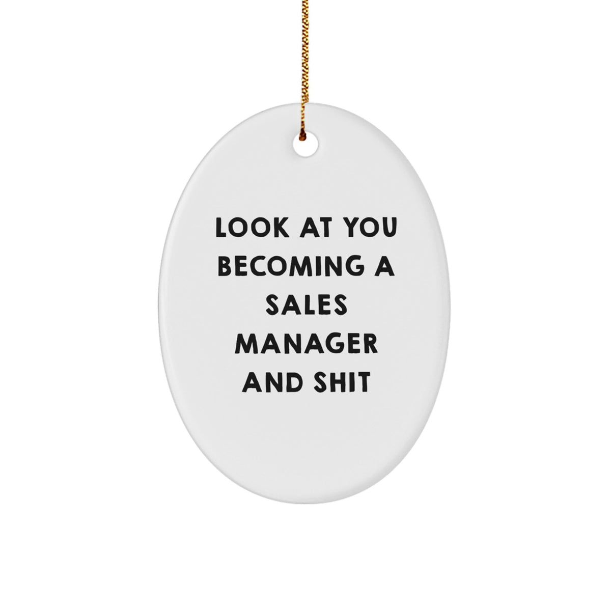 Sales Manager Christmas Ornament Gift for Family, Treasure – Funny 'Look - Image 1