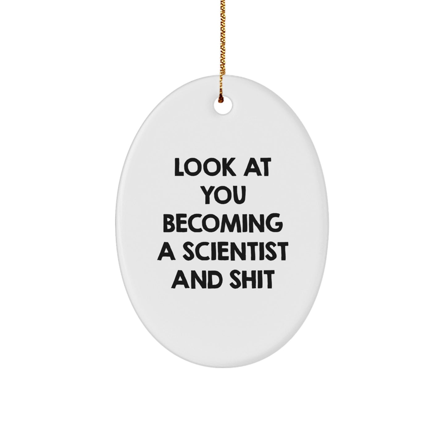 Funny Scientist Gifts for Him, Scientist Oval Ornament for Christmas Unique Gifts from Friends, Scientist Decor for Home Office - Image 1