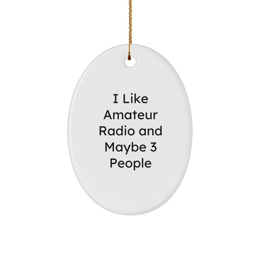 Witty Amateur Radio Christmas Ornament Gift for Roommates - I Like - Image 1