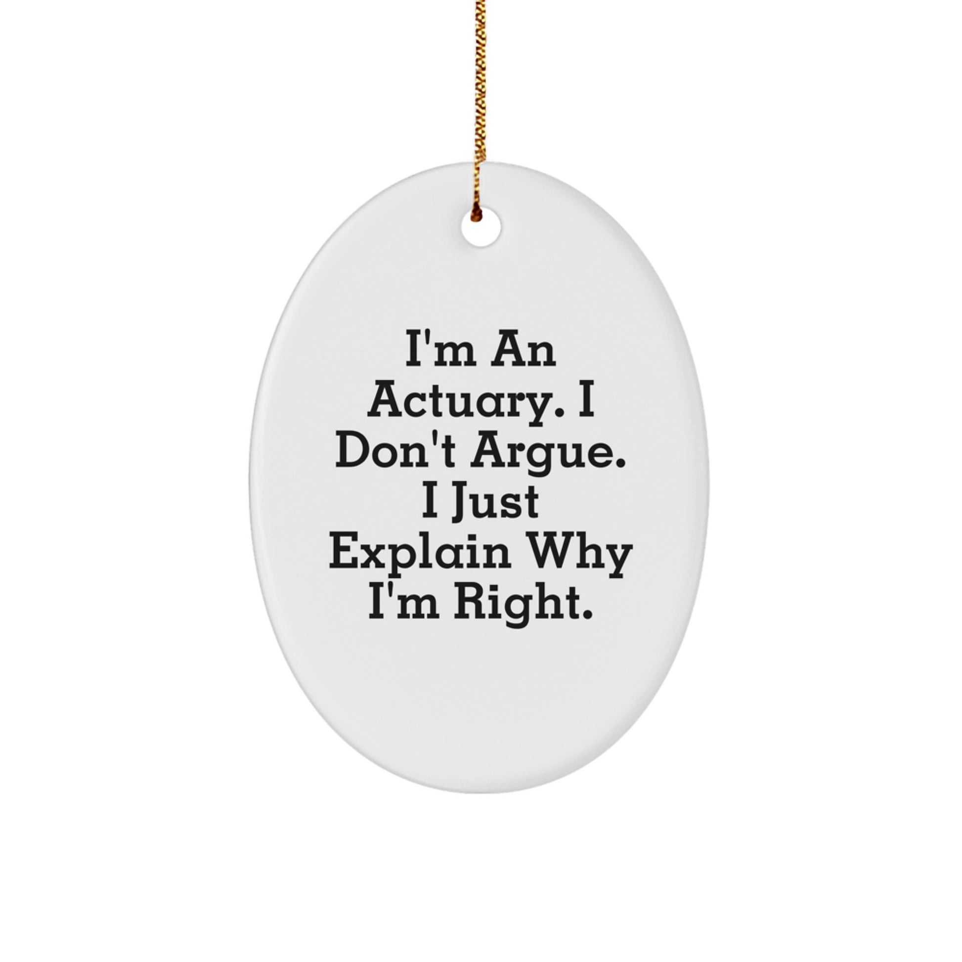 Funny Actuary Gifts from Friends, Oval Ornament for Actuaries, Christmas Unique Gifts for Actuaries - Image 1