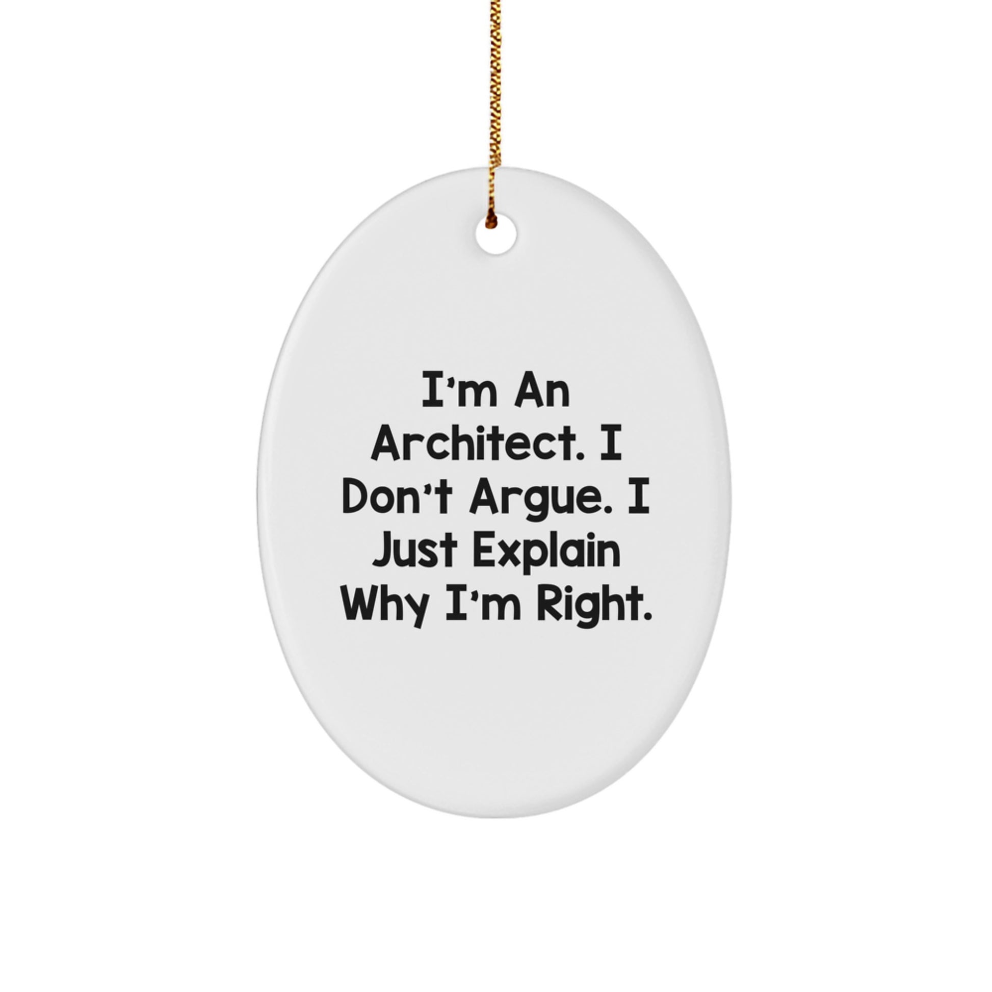 Funny Architect Gifts from Friends, Unique Oval Ornament for Men, Architect Christmas Unique Gifts - Image 1