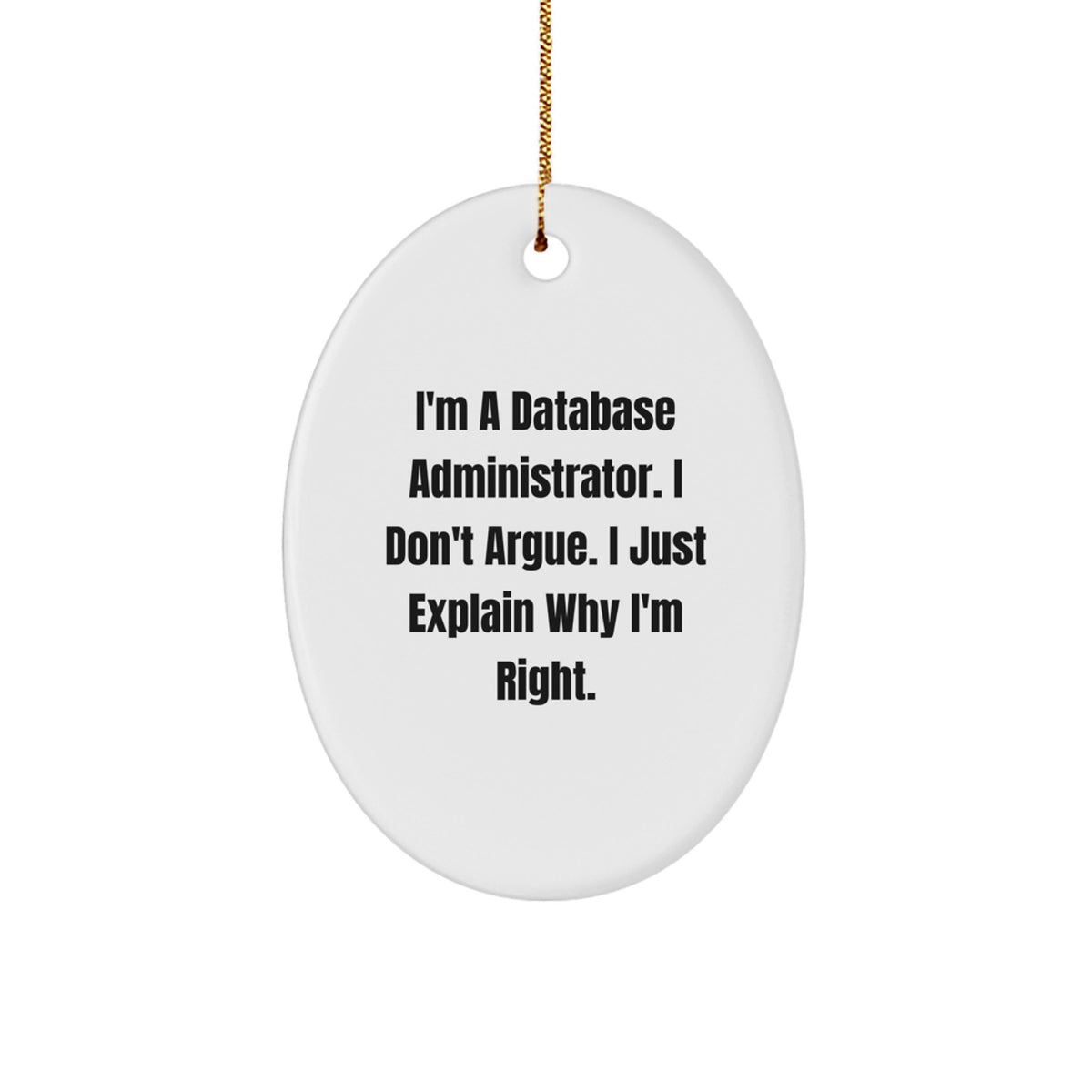 Database Administrator Oval Ornament Treasure for Family Christmas Gift - Image 1