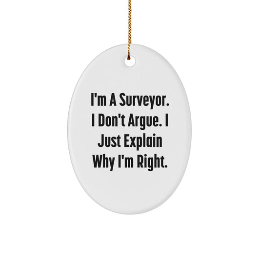 Funny Surveyor Gifts for Christmas Unique Presents from Friends to Surveyor Men Oval Ornament Decorations - Image 1