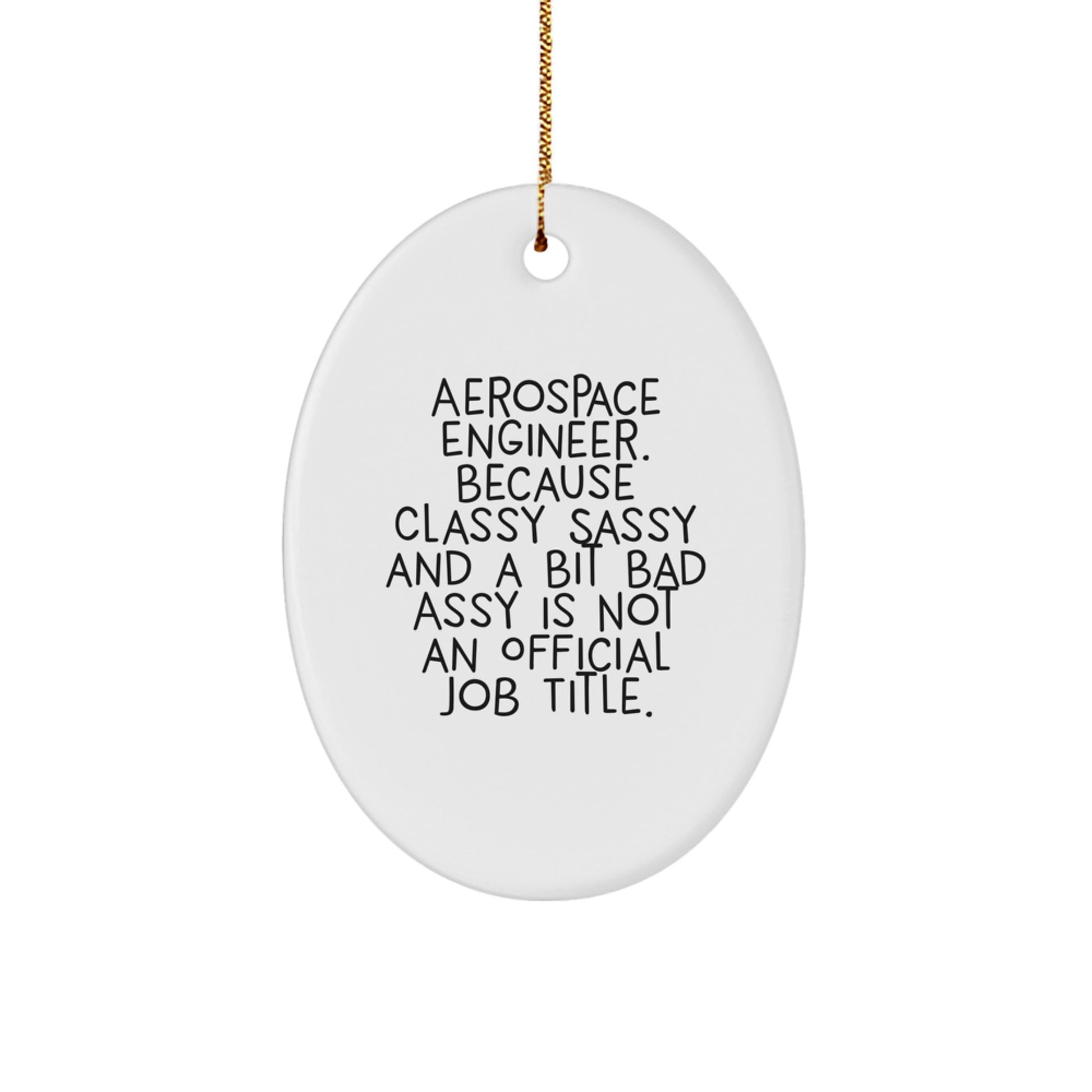 Aerospace Engineer Oval Ornament - Funny Quote Gifts from Friends for Men Women - Unique Christmas Unique Gifts for Aerospace Engineer - Image 1