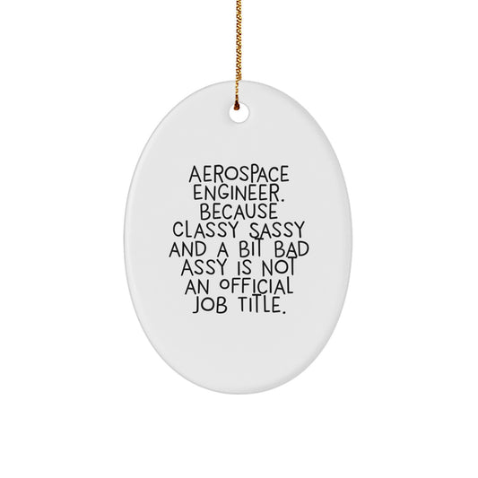 Aerospace Engineer Oval Ornament - Funny Quote Gifts from Friends for Men Women - Unique Christmas Unique Gifts for Aerospace Engineer - Image 1
