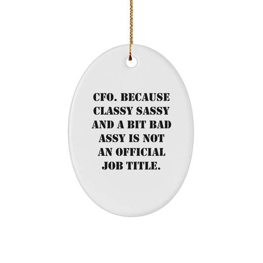 Funny CFO Gifts from Friends, Oval Ornament for CFO, Christmas Unique Gifts - Image 1