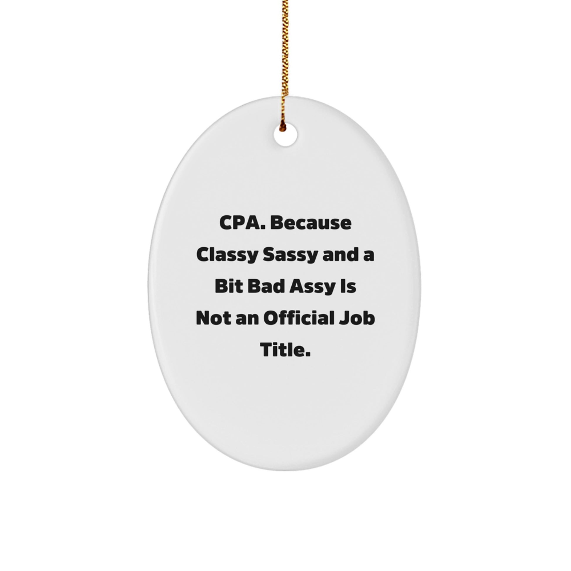 Funny CPA Gifts from Friends - Oval Ornament for Cpa Men Women Coworkers Family - Image 1