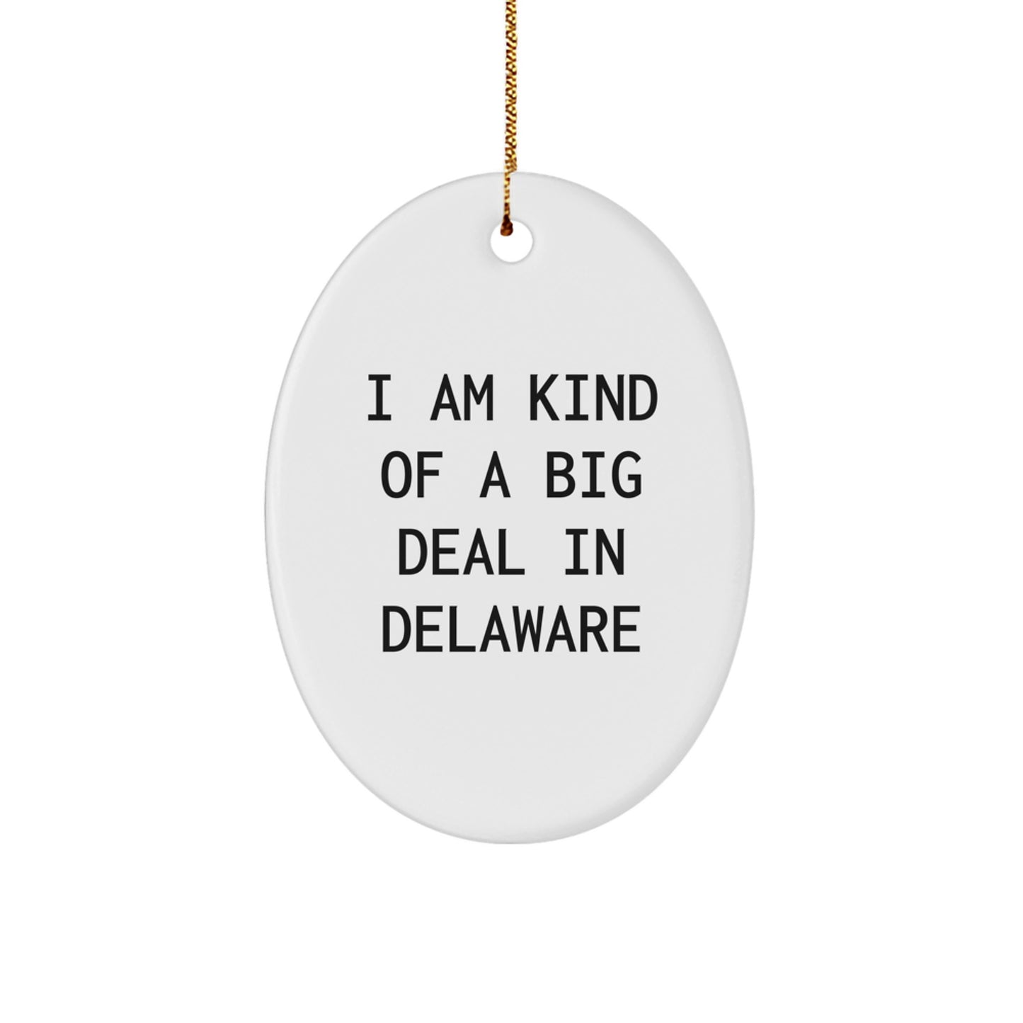 Funny Delaware Gifts, Oval Ornament for Friends and Family, I Am Kind Of A Prime Selection In Delaware Christmas Decoration - Image 1