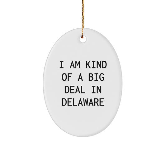 Funny Delaware Gifts, Oval Ornament for Friends and Family, I Am Kind Of A Prime Selection In Delaware Christmas Decoration - Image 1
