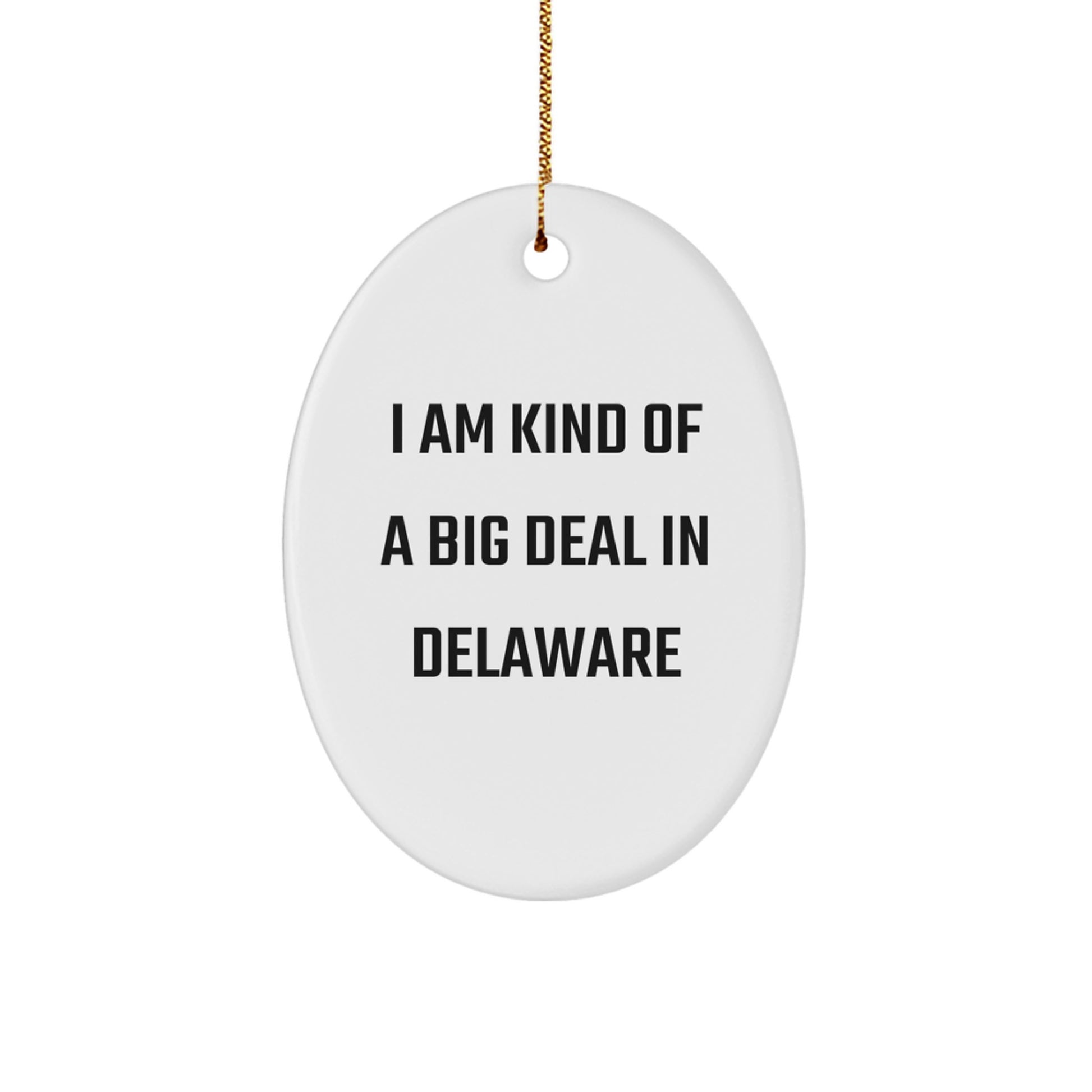 Funny Delaware Oval Ornament Gifts from Friends and Family - I Am Kind Of A Prime Selection In Delaware Christmas Decorations - Image 1