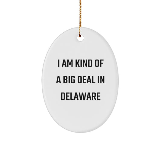 Funny Delaware Oval Ornament Gifts from Friends and Family - I Am Kind Of A Prime Selection In Delaware Christmas Decorations - Image 1