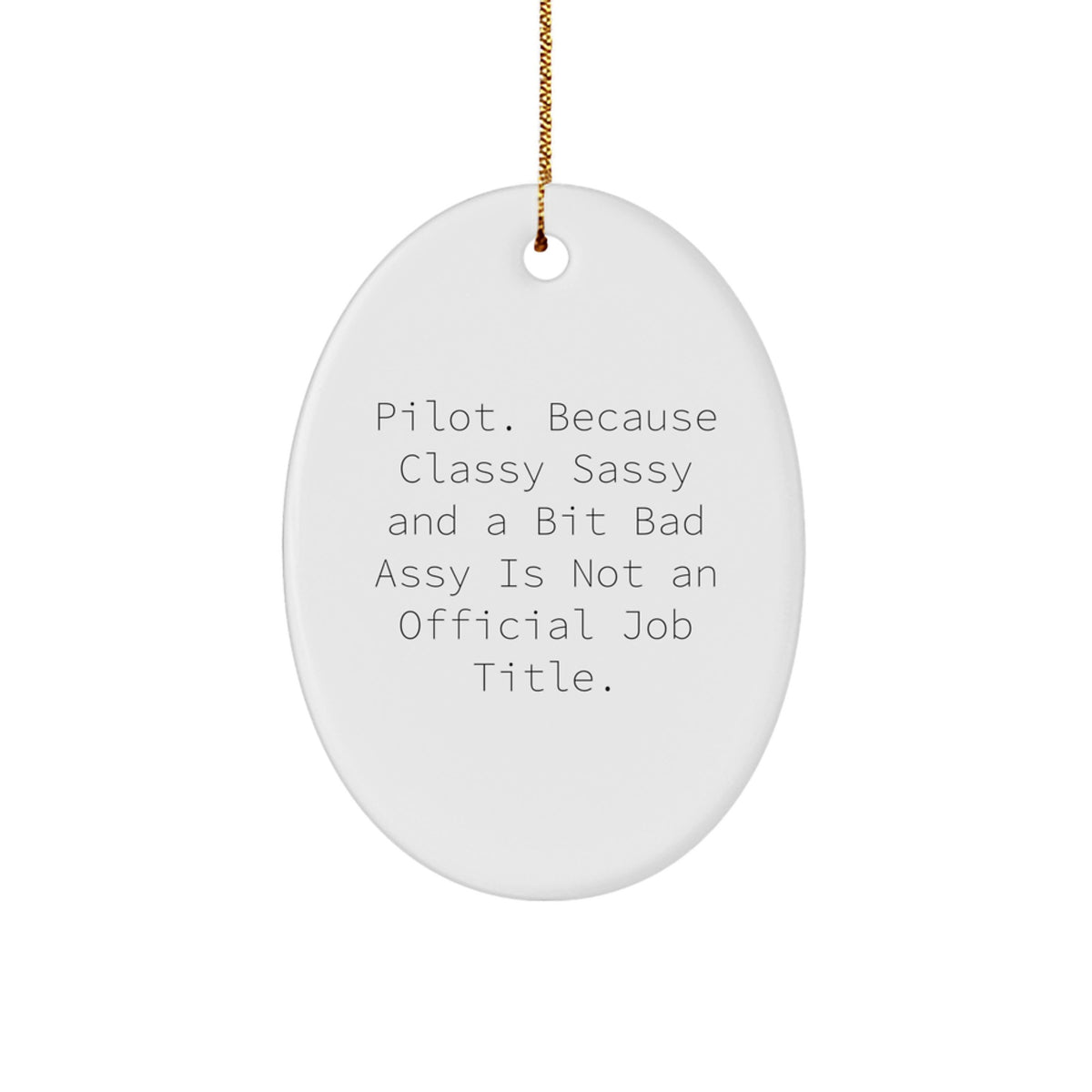 Pilot Favorite Oval Ornament for Kids Surprise Keepsake Christmas Gift - Image 1
