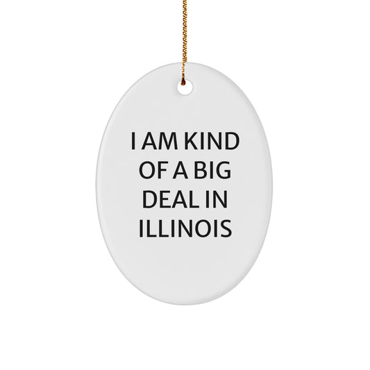 Funny Illinois Oval Ornament Gifts from Friends for Illinois Men - I Am Kind Of A Prime Selection In Illinois Christmas Unique Gifts - Image 1