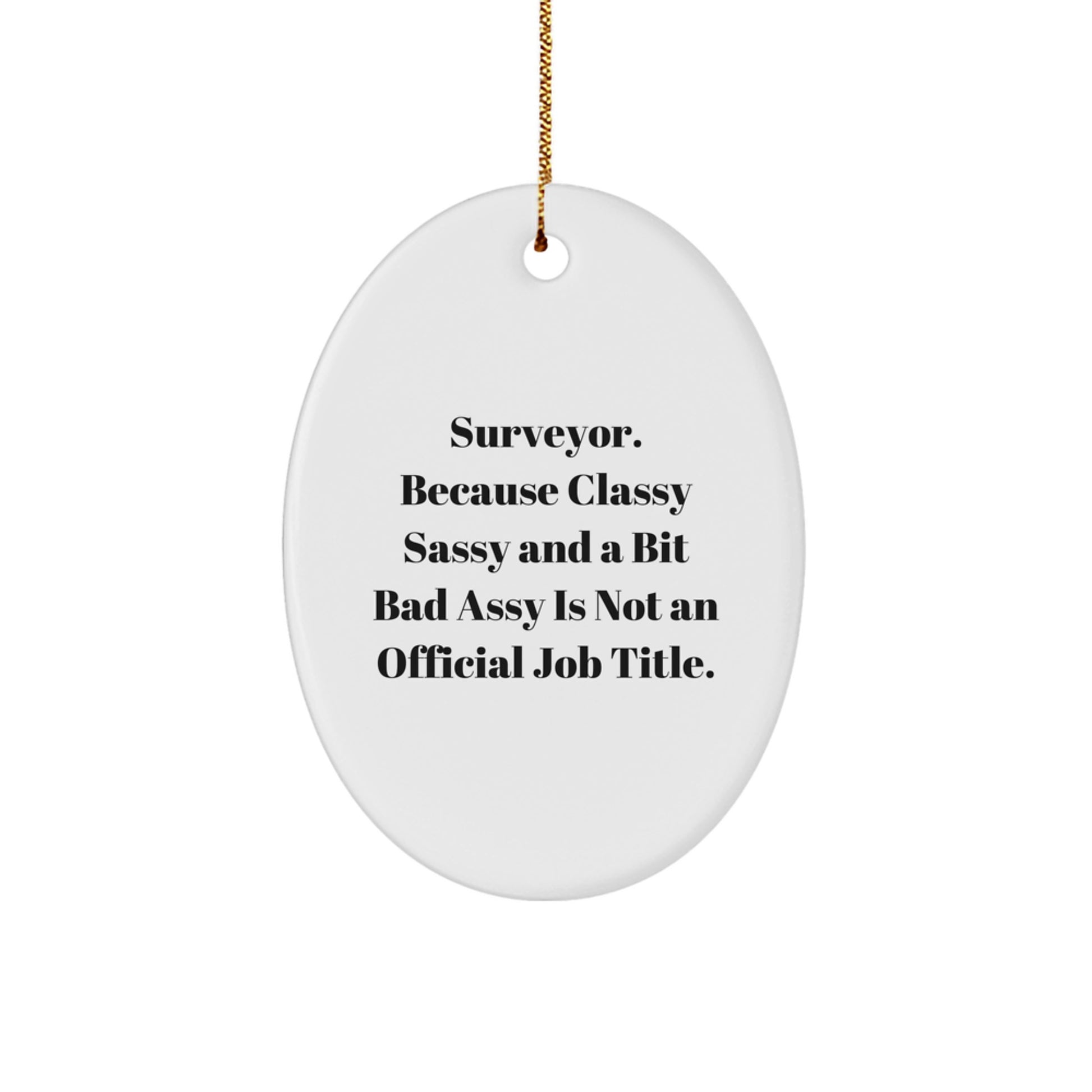 Surveyor Funny Oval Ornament Gifts from Friends for Surveyor, Oval Ornament with Humor, Classy Sassy And A Bit Fearlessy Is Not An Official Job Title, Christmas Unique Gifts - Image 1
