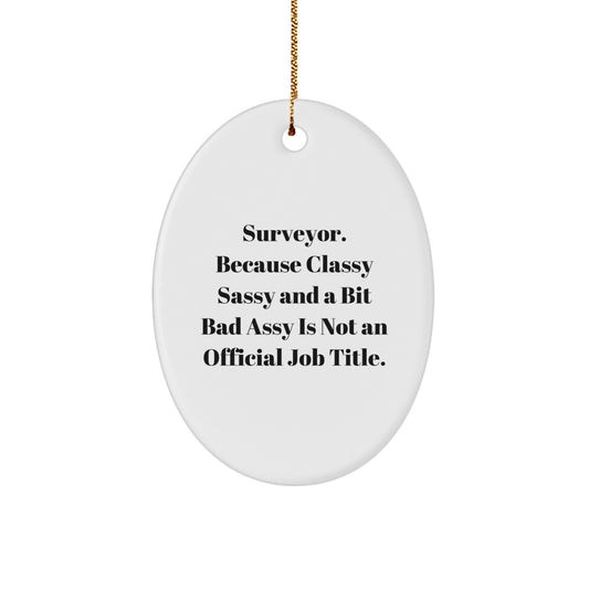 Surveyor Funny Oval Ornament Gifts from Friends for Surveyor, Oval Ornament with Humor, Classy Sassy And A Bit Fearlessy Is Not An Official Job Title, Christmas Unique Gifts - Image 1