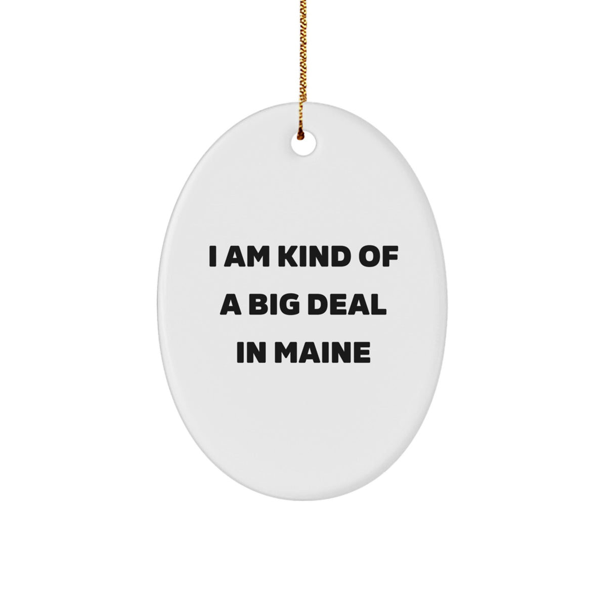 Funny Maine Gifts from Friends and Family - Oval Ornament I Am Kind Of A Prime Selection In Maine - Image 1