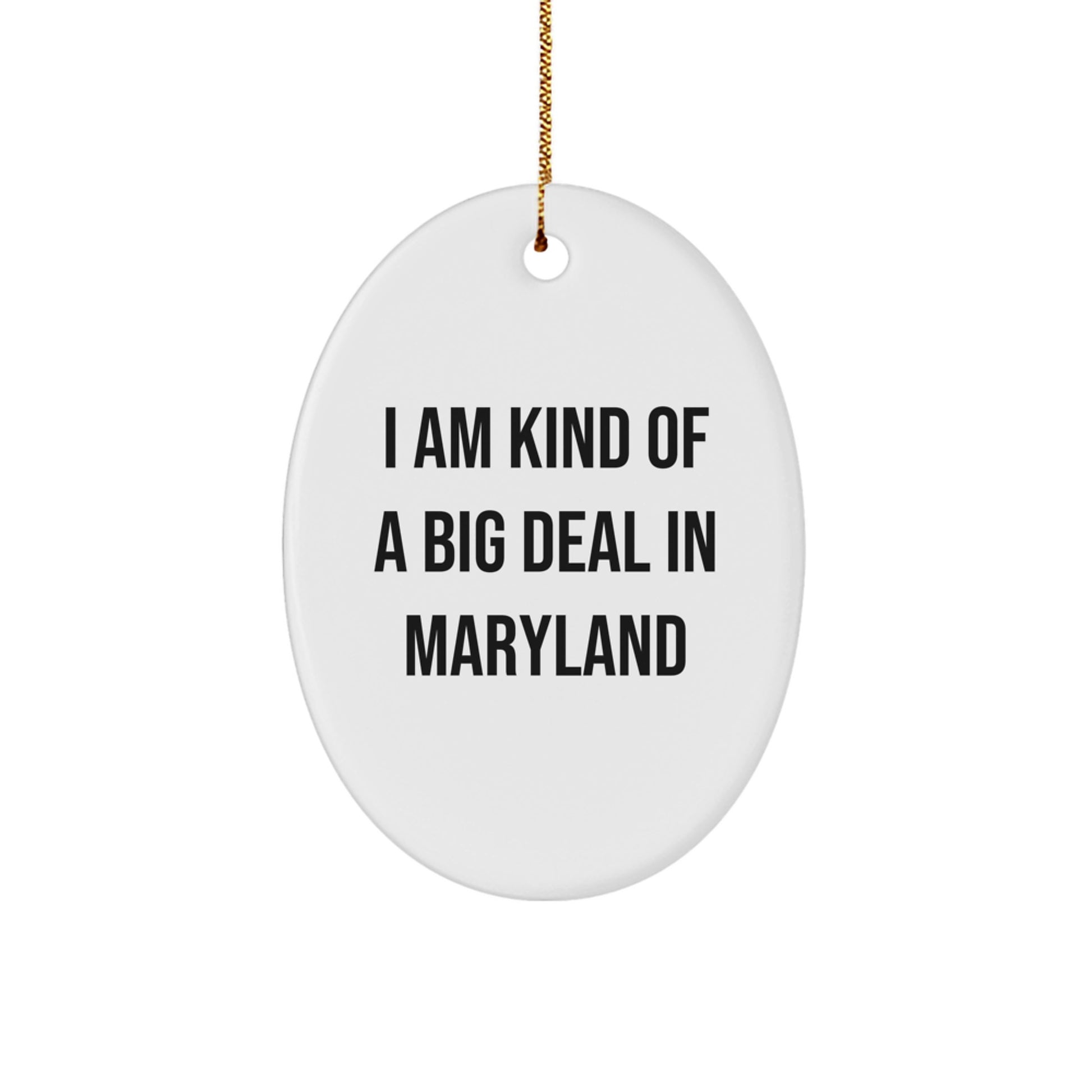 Funny Maryland Oval Ornament Gifts from Friends to Family - I Am Kind Of A Prime Selection In Maryland Christmas Unique Decorations - Image 1
