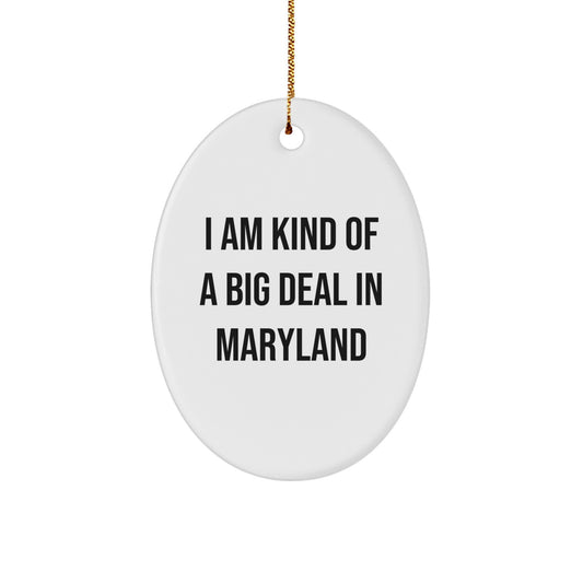 Funny Maryland Oval Ornament Gifts from Friends to Family - I Am Kind Of A Prime Selection In Maryland Christmas Unique Decorations - Image 1