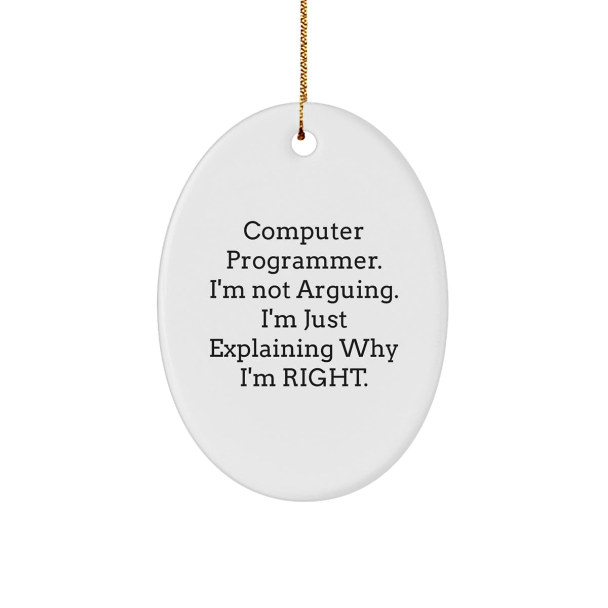 Christmas Gift Computer Programmer Ornament - A Playful Explanation - Image 1
