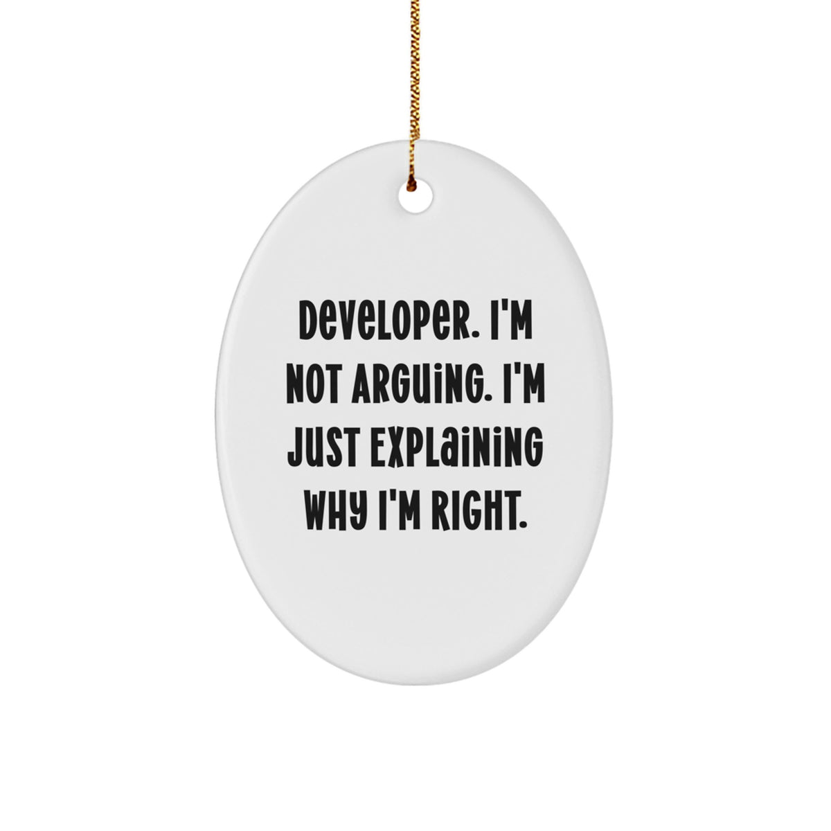 Christmas Ornament Gift for Family Developer. I'm Not Arguing, I'm - Image 1