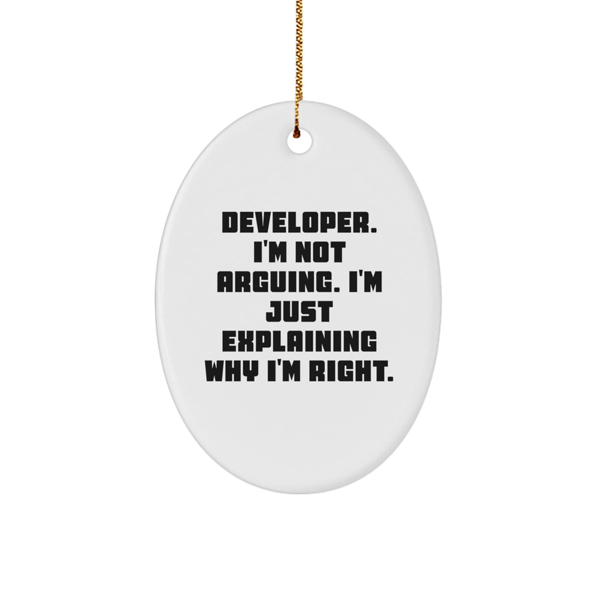 Witty I'm Not Arguing Developer Christmas Ornament for Friends Gift - Image 1