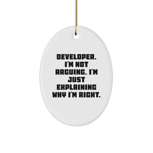 Witty I'm Not Arguing Developer Christmas Ornament for Friends Gift - Image 1