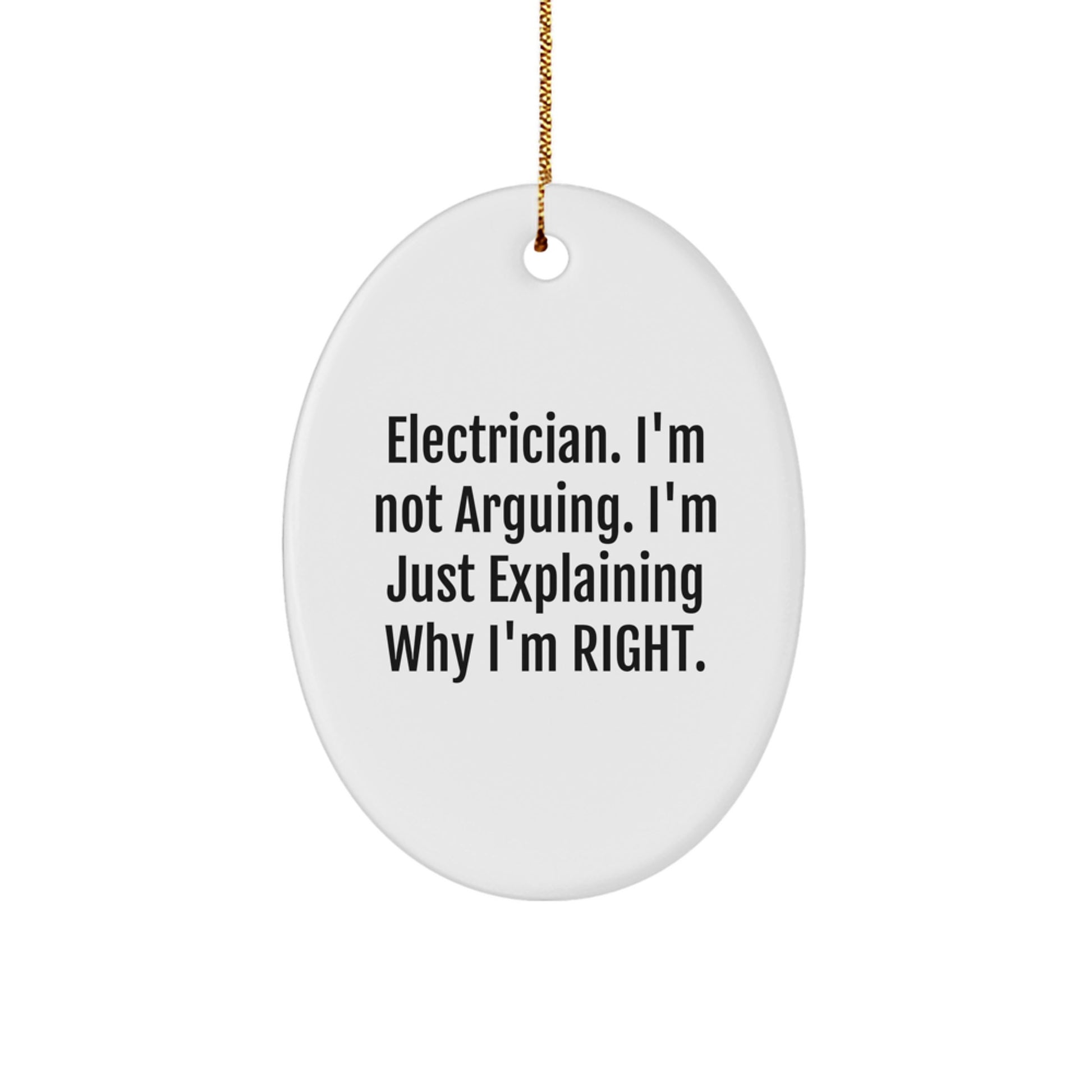 Funny Electrician Gifts from Friends - 'I'm Not Arguing' Oval Ornament for Electrician, Christmas Unique Gifts - Image 1